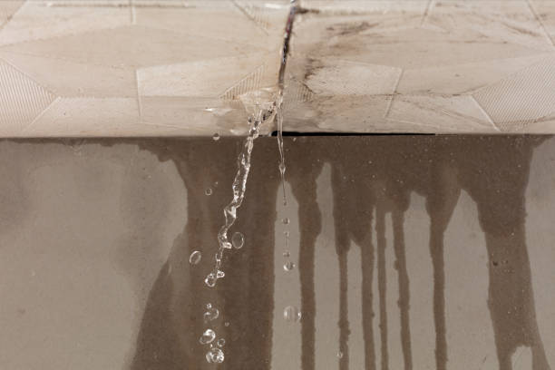 Professional Structural Drying technician working in Daisetta, TX